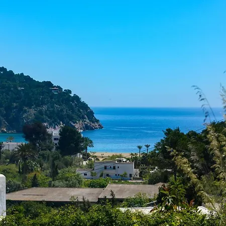 Sans Cala De San Vicente (Ibiza)